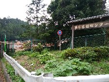 多摩木材センター