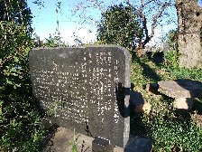 背面