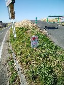 武蔵野１０里ウォーキング大会