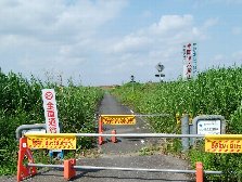 またまた