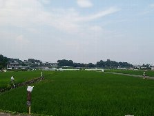 早くも登場