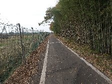 通れる