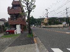 東京純心女子学園